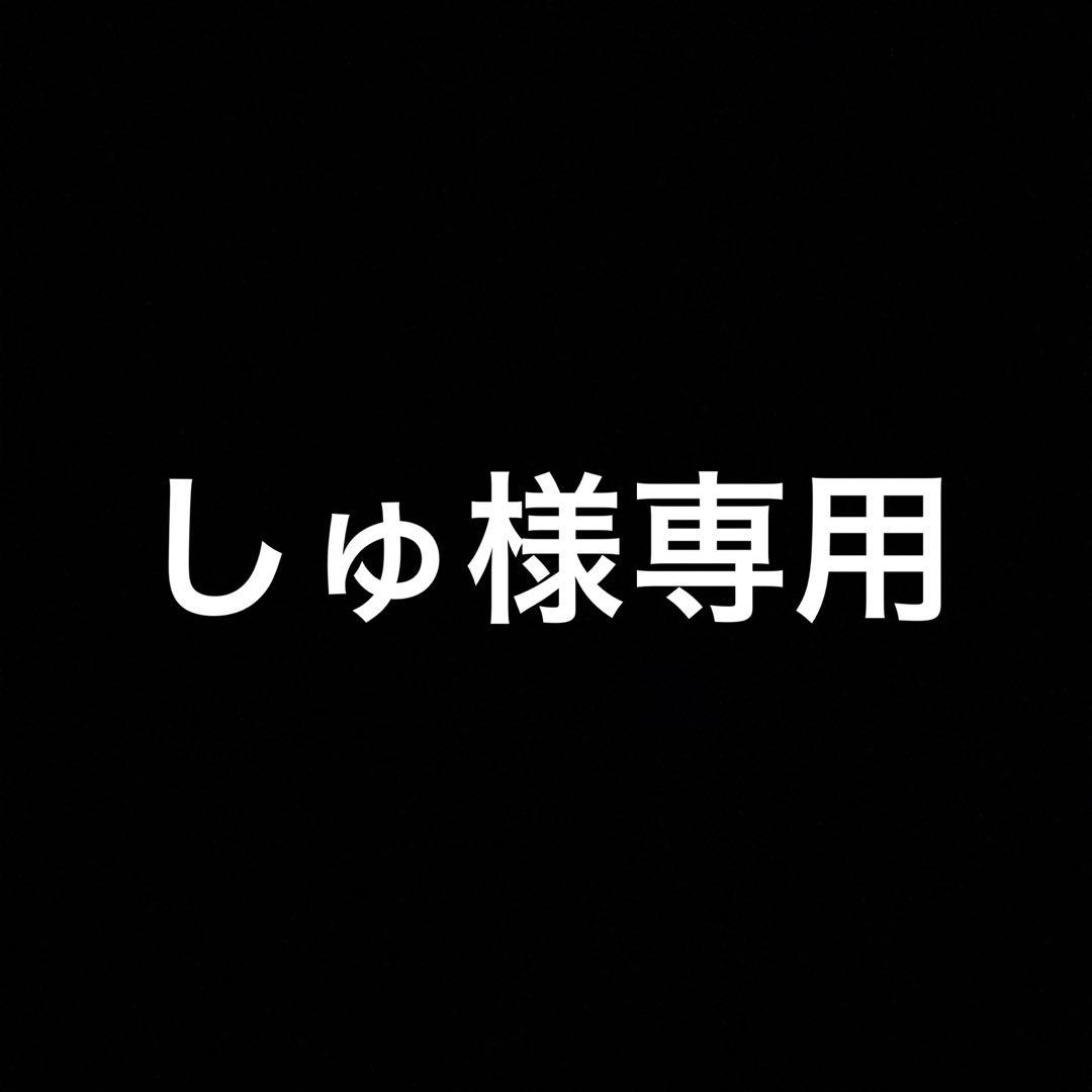 専用ページ　レイヤードT M