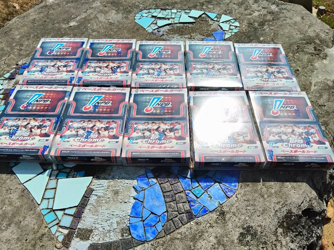 NPB Chrome トレーディングカード 24パックセット×10箱