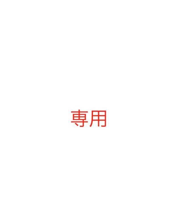 専用3