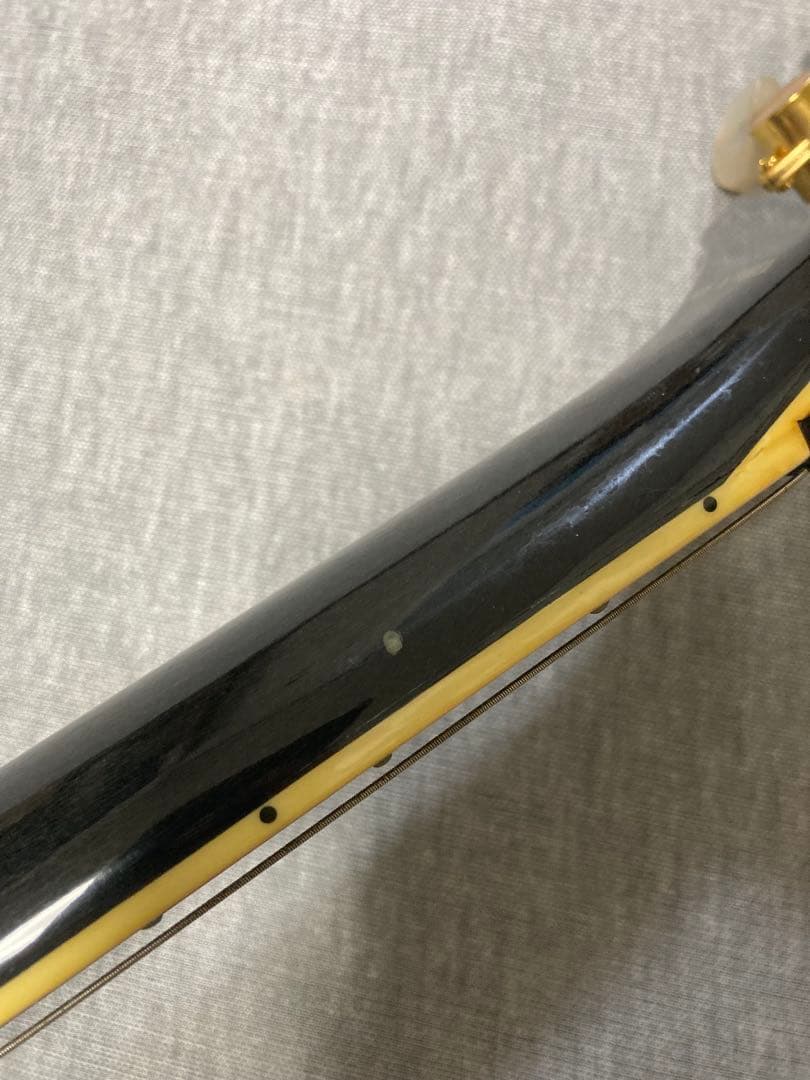 ギター Aria proII PE-DLX