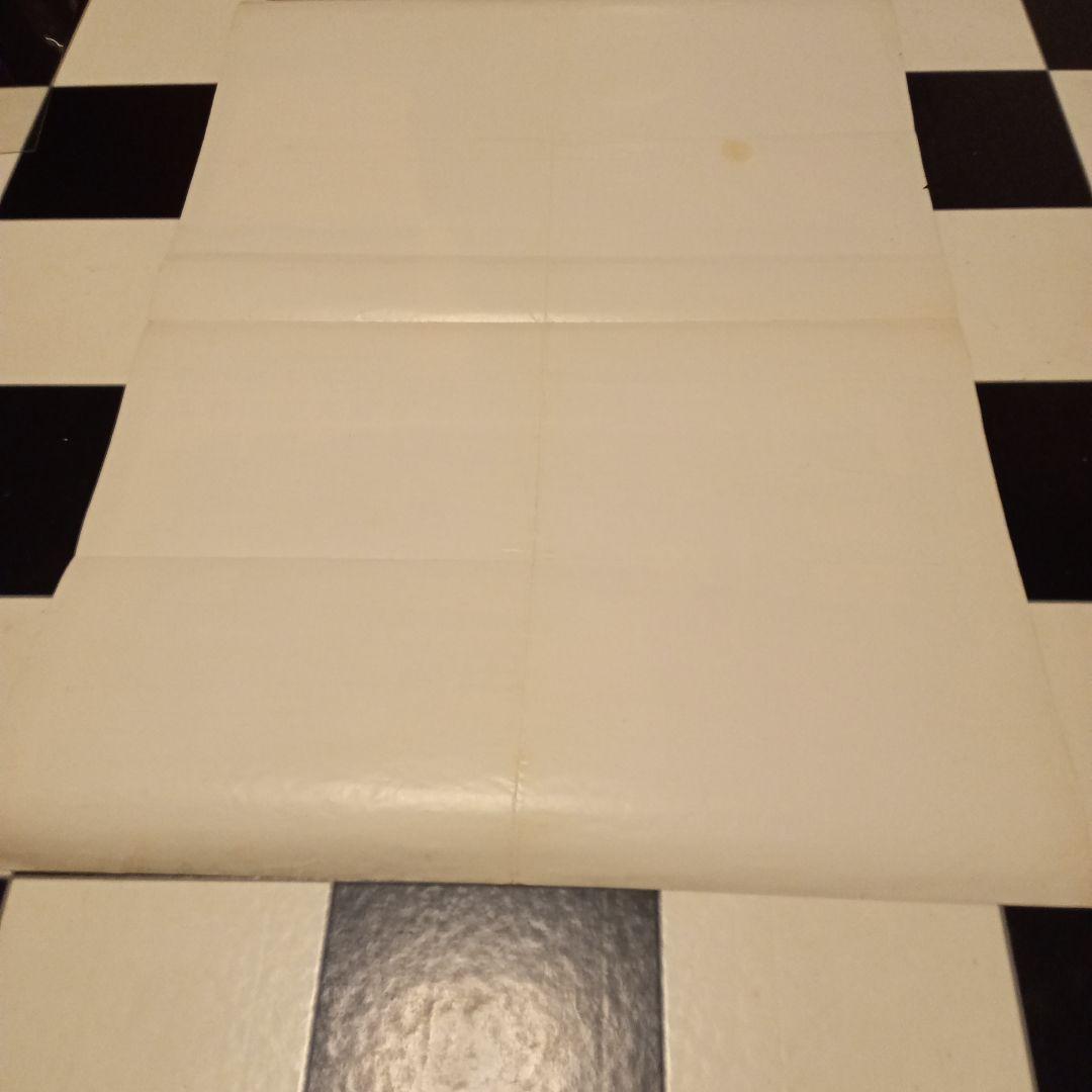 映画ポスター　白い巨塔　田宮二郎　当時物　折り目　小さな破れ　欠け　Ｂ2サイズ