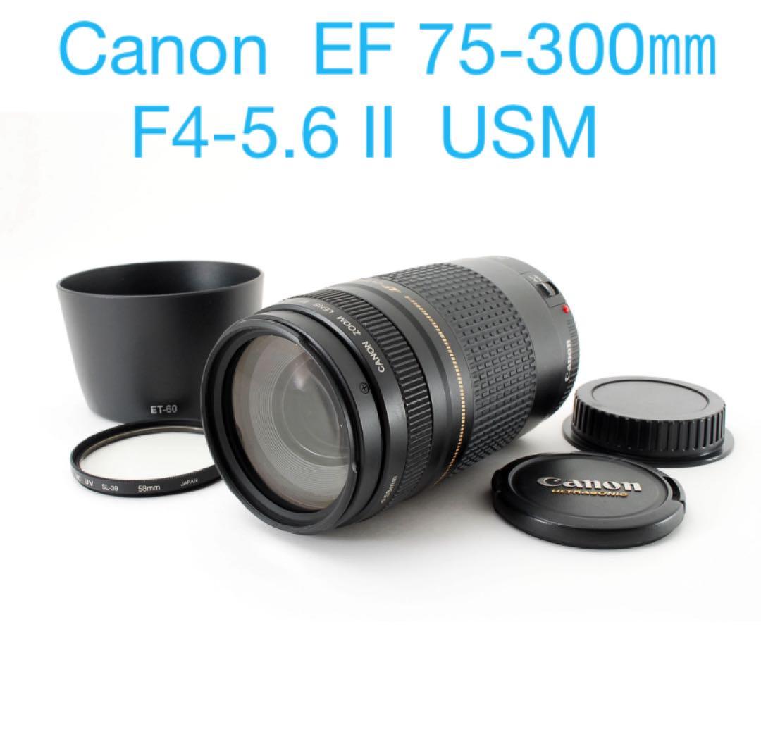 イベント/スポーツ/人気の望遠レンズ/Canon EF75-300㎜
