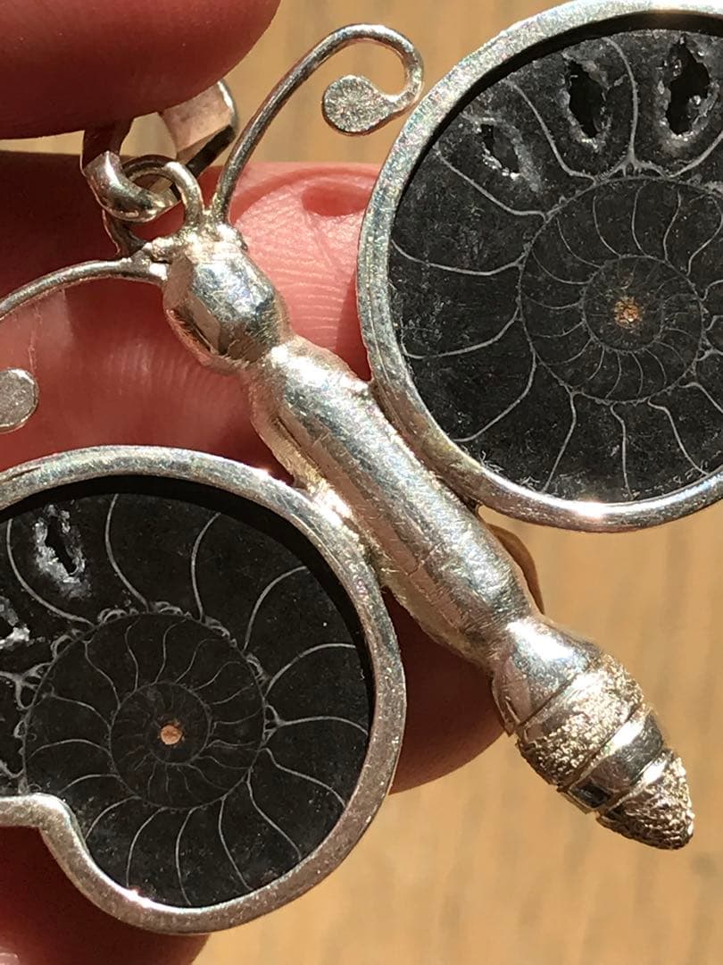 【限定出品】マダガスカル産　ブラックアンモナイト化石使用　ペンダントトップ　蝶々