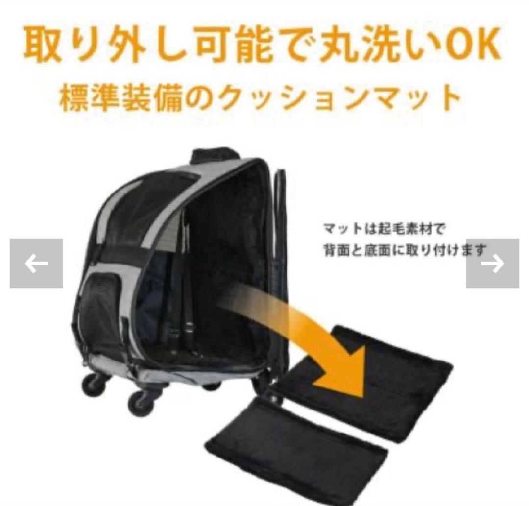 エアバギーフィット