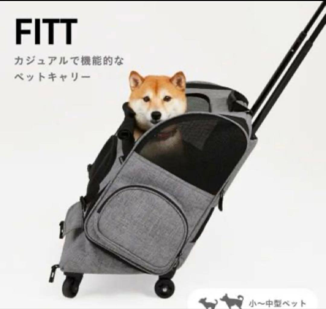 エアバギーフィット