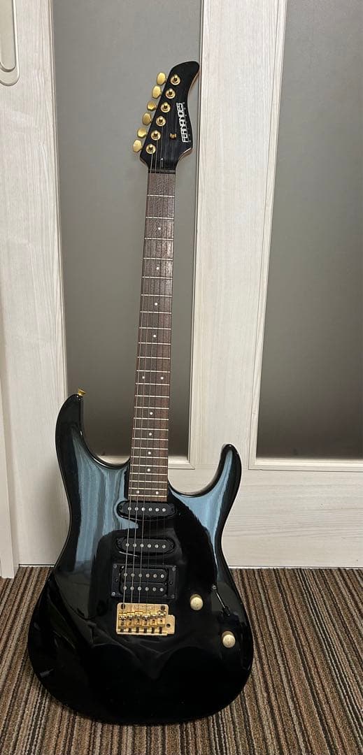 FERNANDES エレキギター ブラック