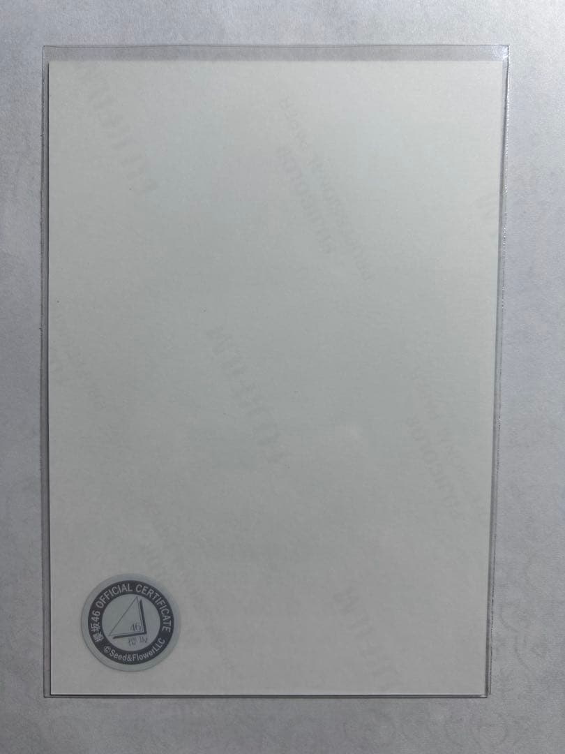 櫻坂46 森田ひかる サンタ衣装 直筆サイン入り生写真