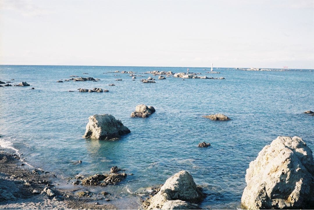 【作動保証1ヶ月】整備済、完動品/ OLYMPUS TRIP35　オリンパス