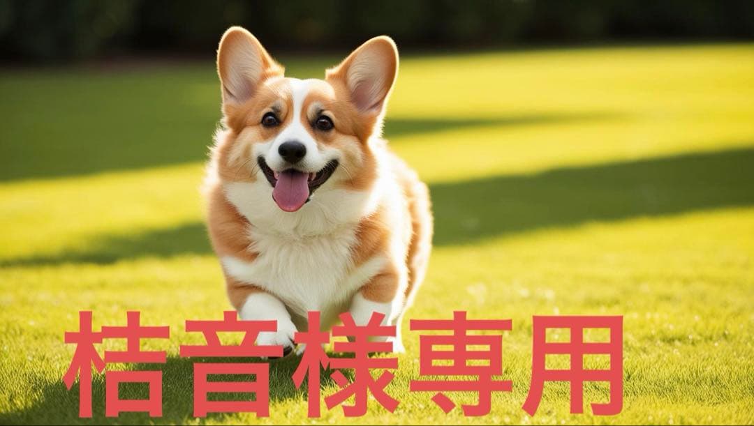 桔音