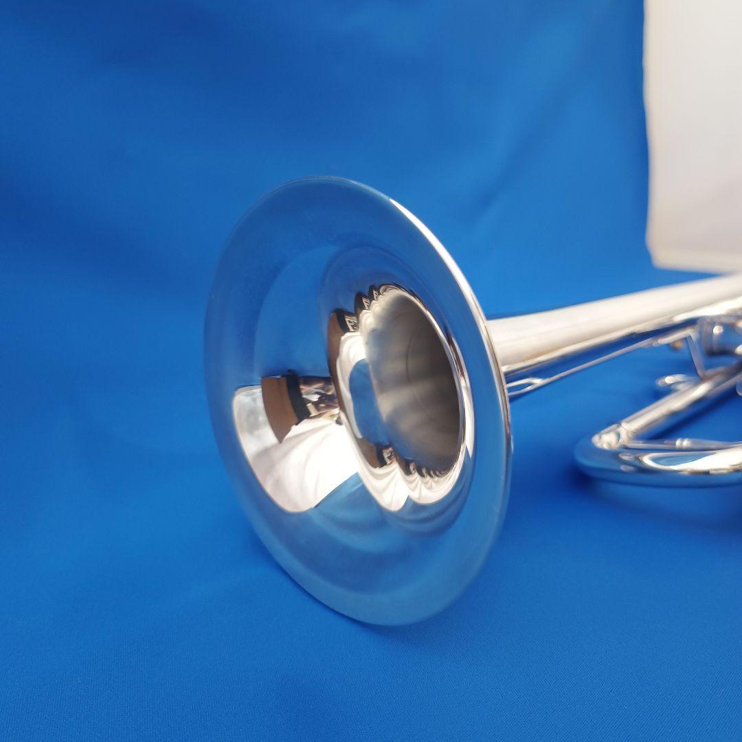 選定品 ZORRO Custom BUILT ModelII