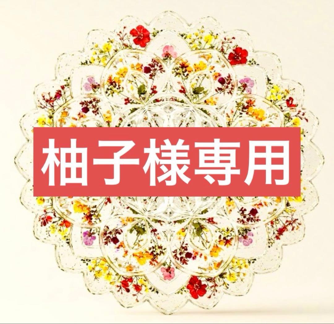 専用 ２本