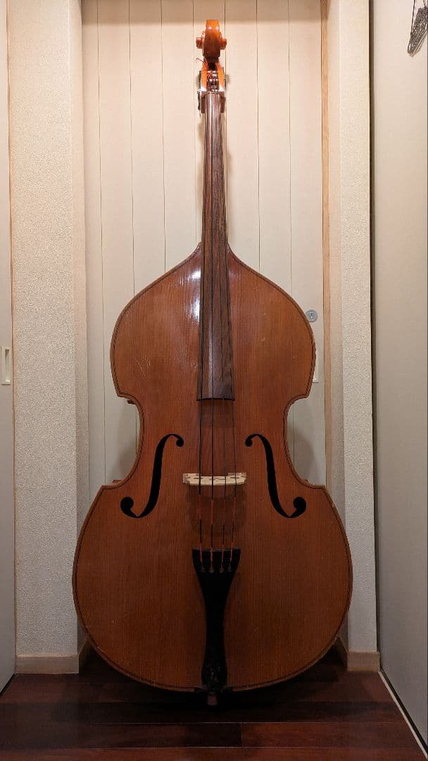 コントラバス クレモナ No.80 黒弦