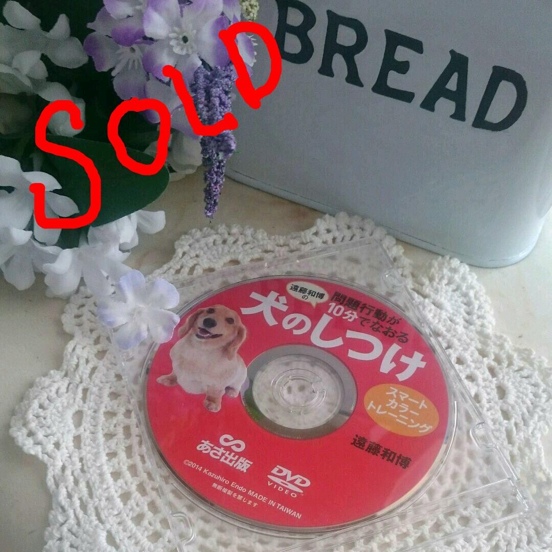 かめたんです