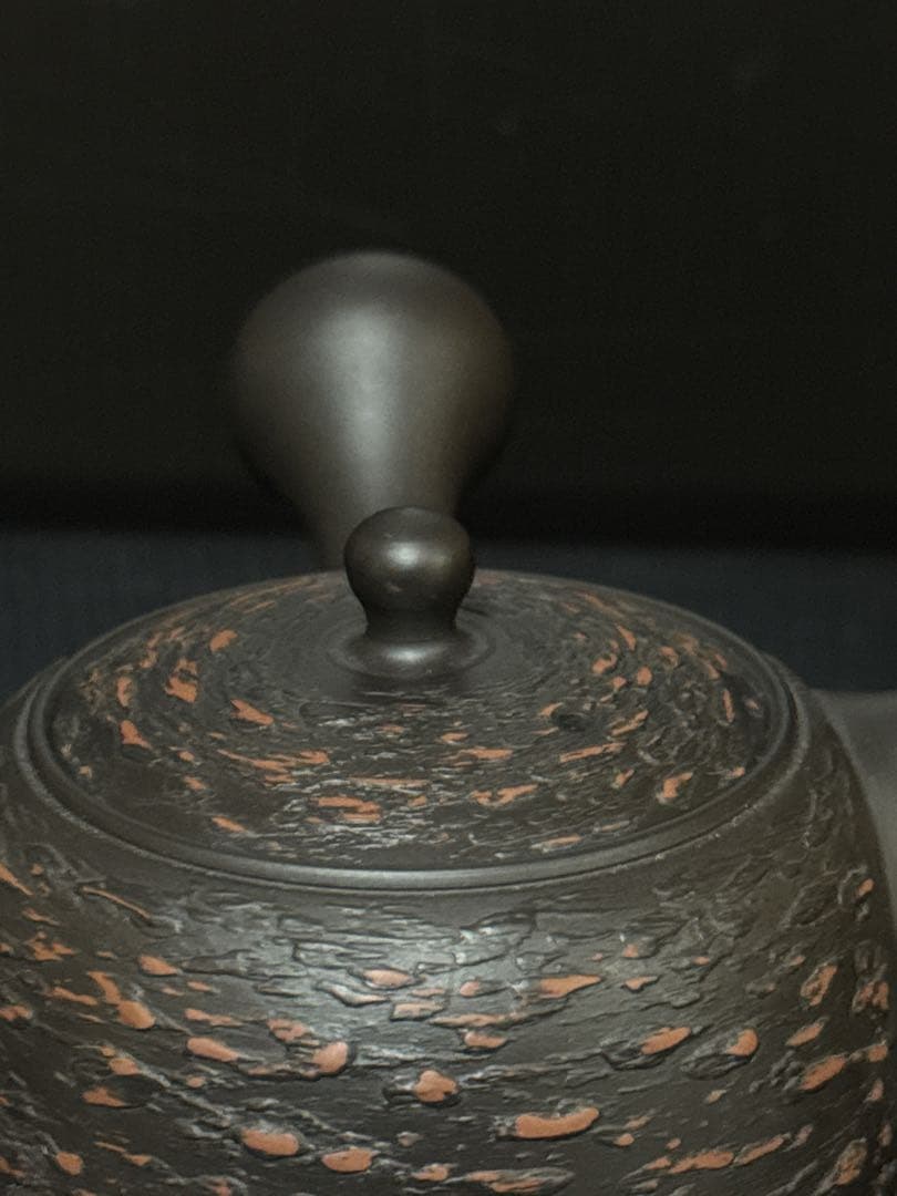 個展出品作 常滑焼 名人 仲井堂 森下宗則 作 焼桜紋様 急須 茶注 桐共箱付