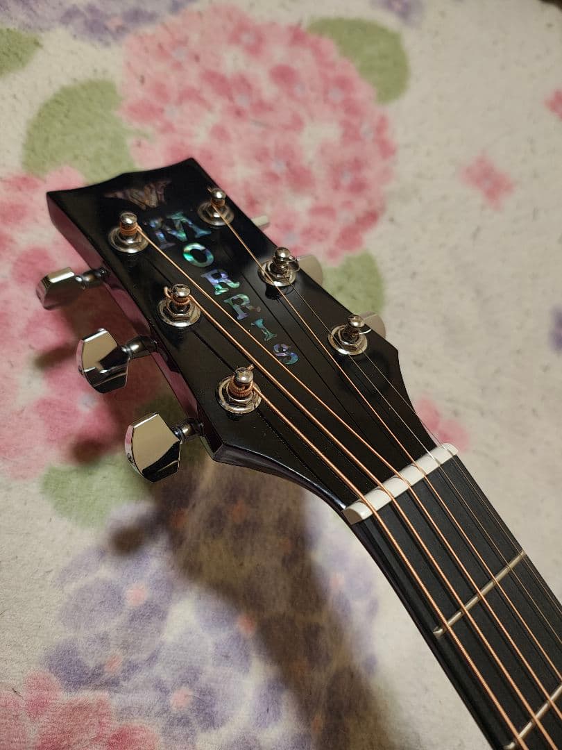 C.K！単板トップMORRIS G-021 WR/超美品/専用ケース付