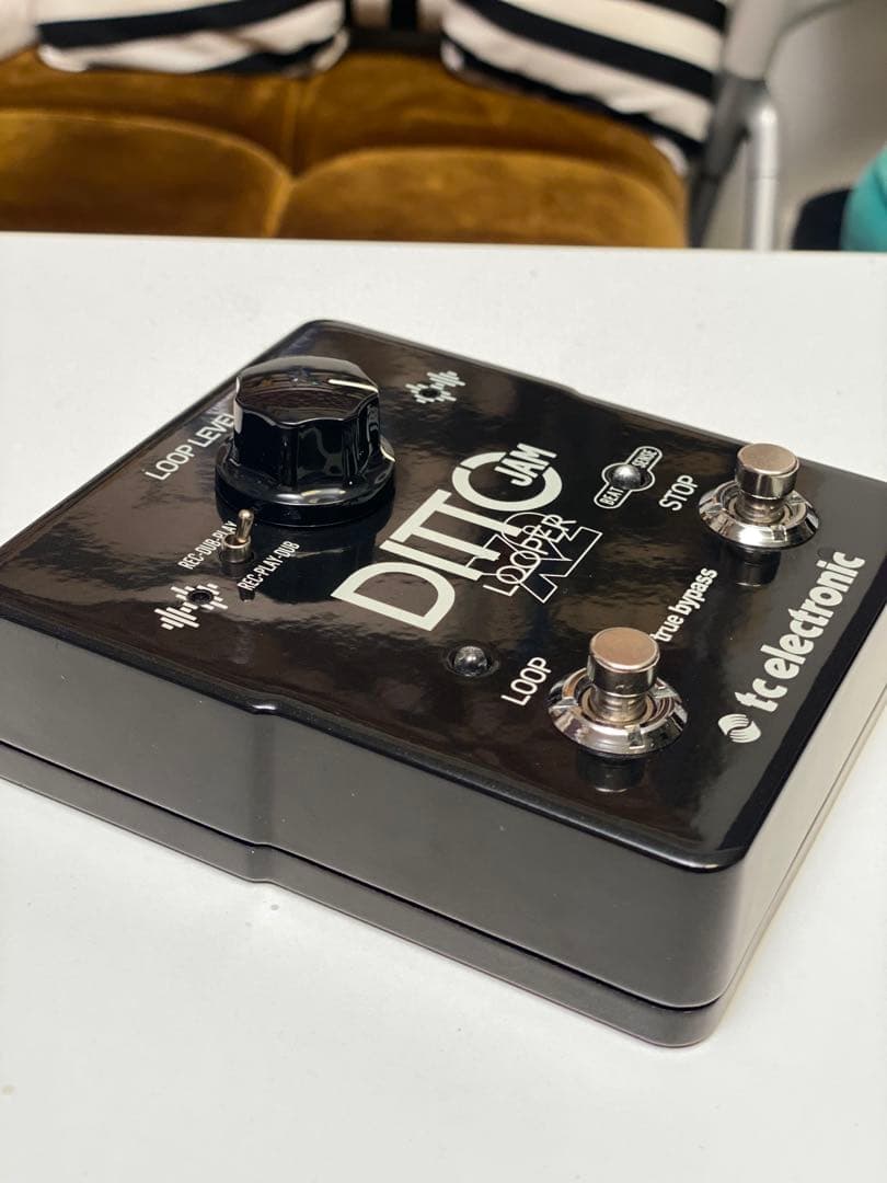 ルーパー tc electronic DITTO JAM X2 LOOPER