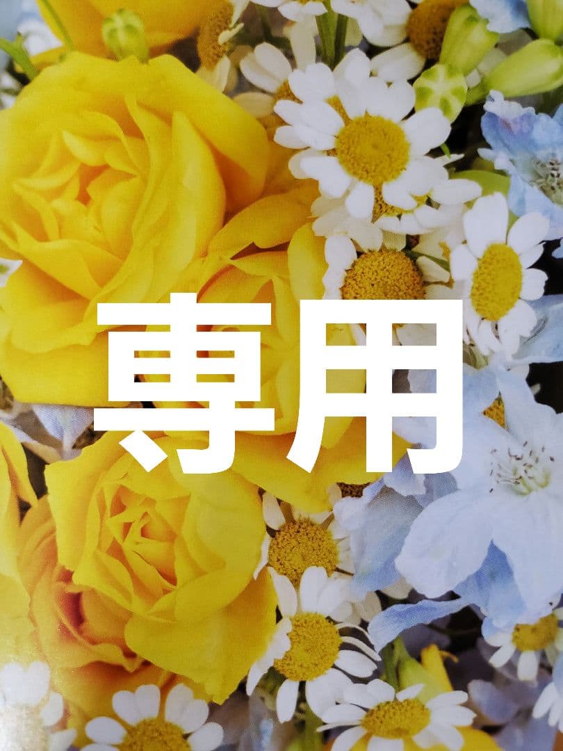 アキ様 くじら 他の方は購入をお控え下さい