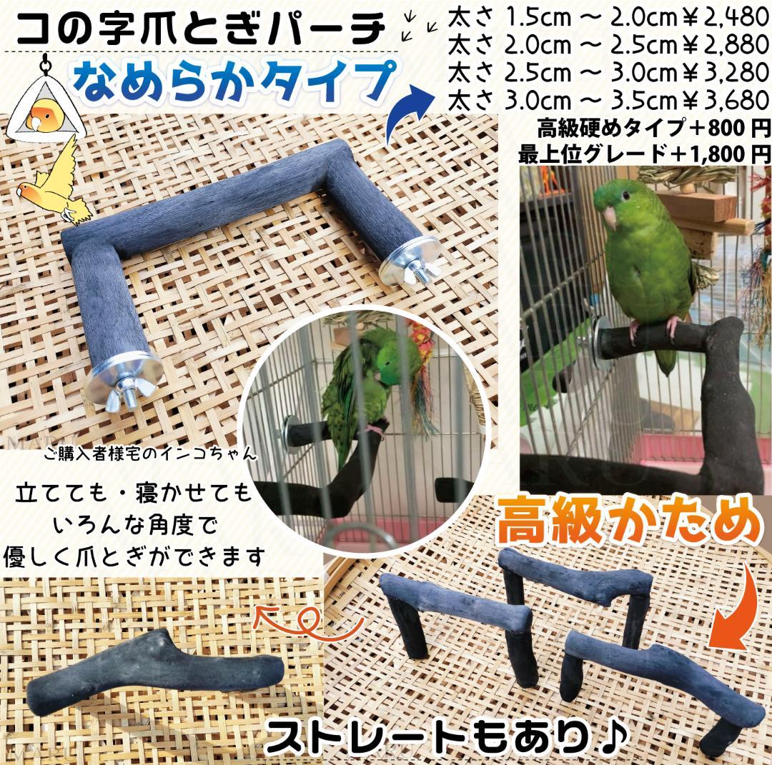 その他 KAZU
