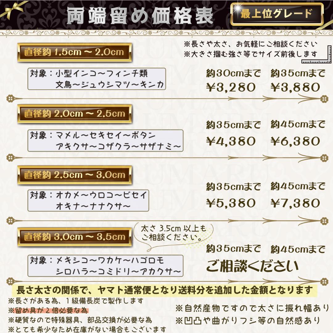 その他 KAZU