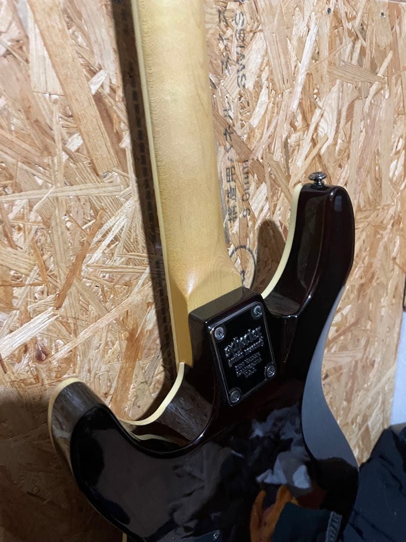 シェクター SCHECTER OMEN EXTREME