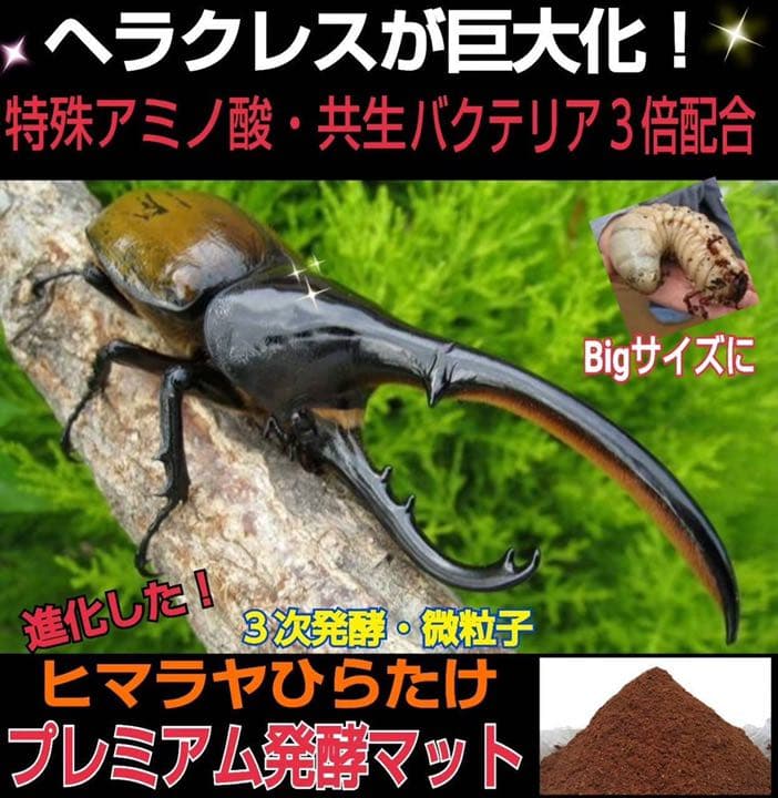 増量50L☆プレミアム3次発酵カブトマット　特殊アミノ酸・共生バクテリア3倍配合