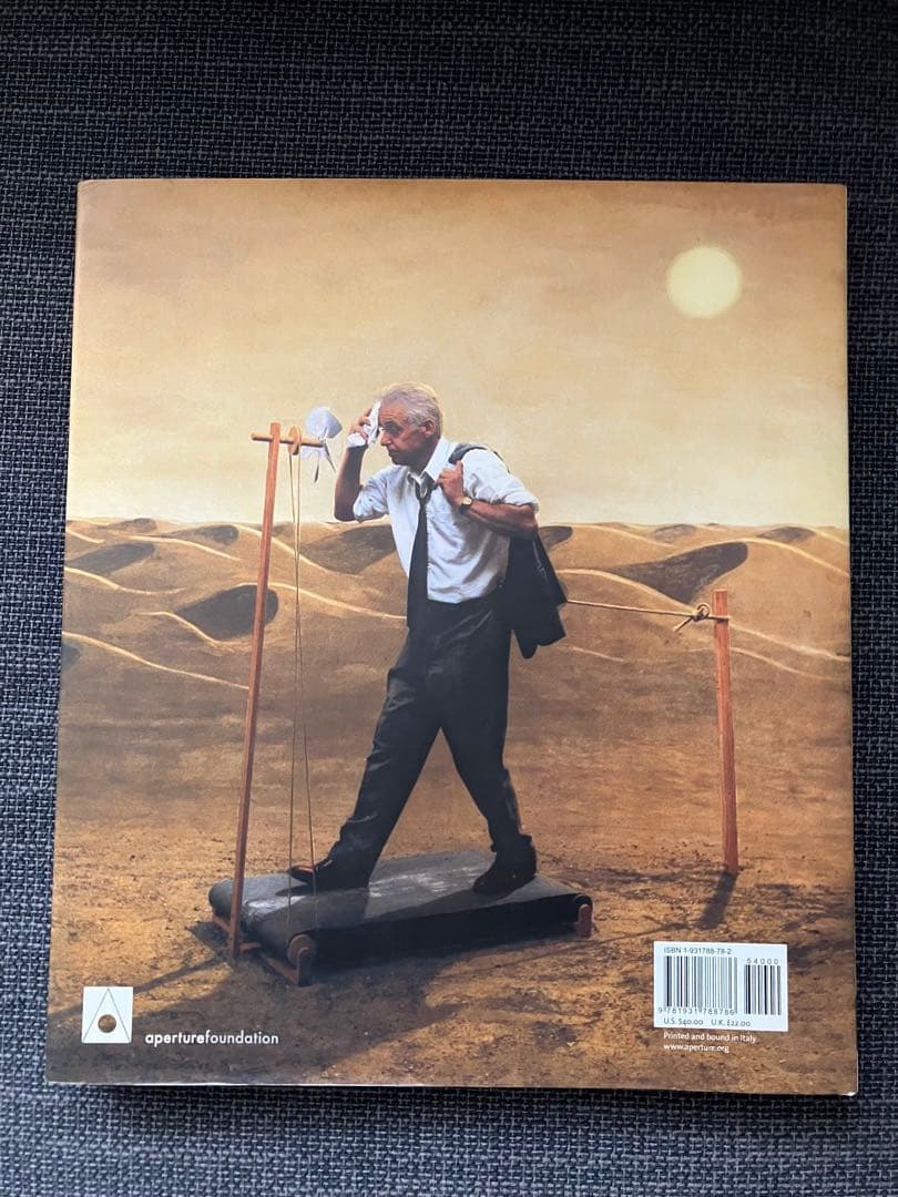 TEUN HOCKS 絵画集