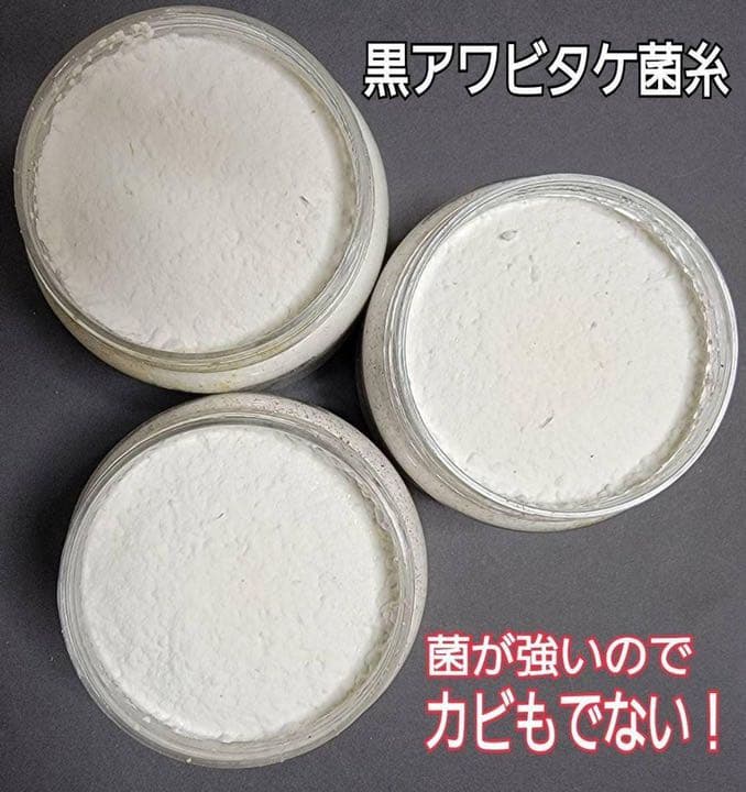 極上！黒アワビタケ菌糸瓶【12本】初令、2令に最適なサイズ！ニジイロクワガタに！