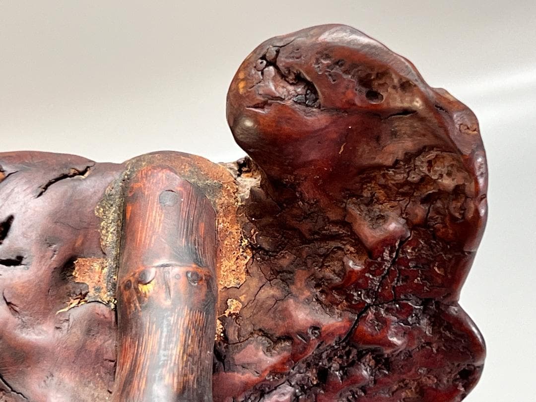 靈芝 竹雕搭天然樹瘤如意 長：47cm 古無垢材 天然木 根子彫 手彫り 置物