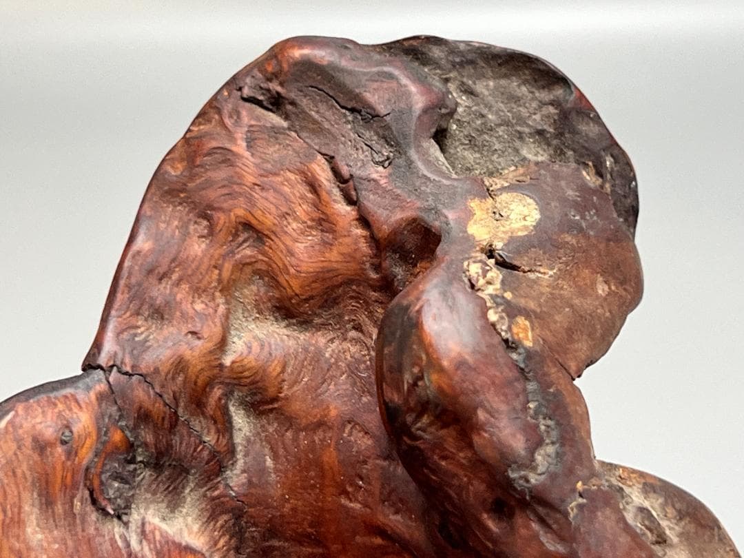 靈芝 竹雕搭天然樹瘤如意 長：47cm 古無垢材 天然木 根子彫 手彫り 置物