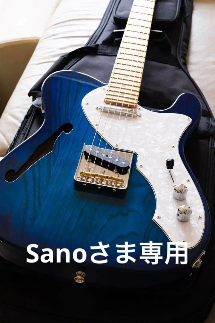 ギター FGN FUJIGEN NTE10MAH SBB Neo Classic