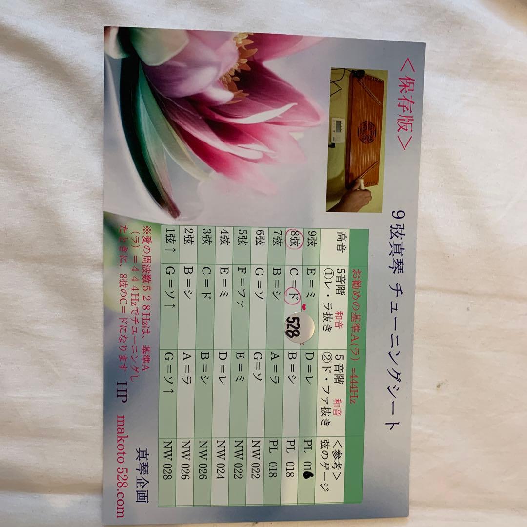 真琴9弦