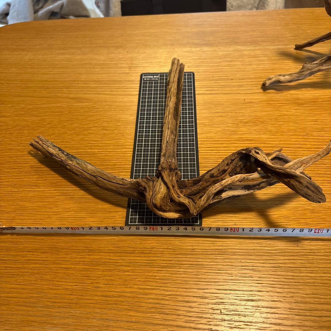 【早い者勝ち】ADA流木　5本（まとめ買い500円引）