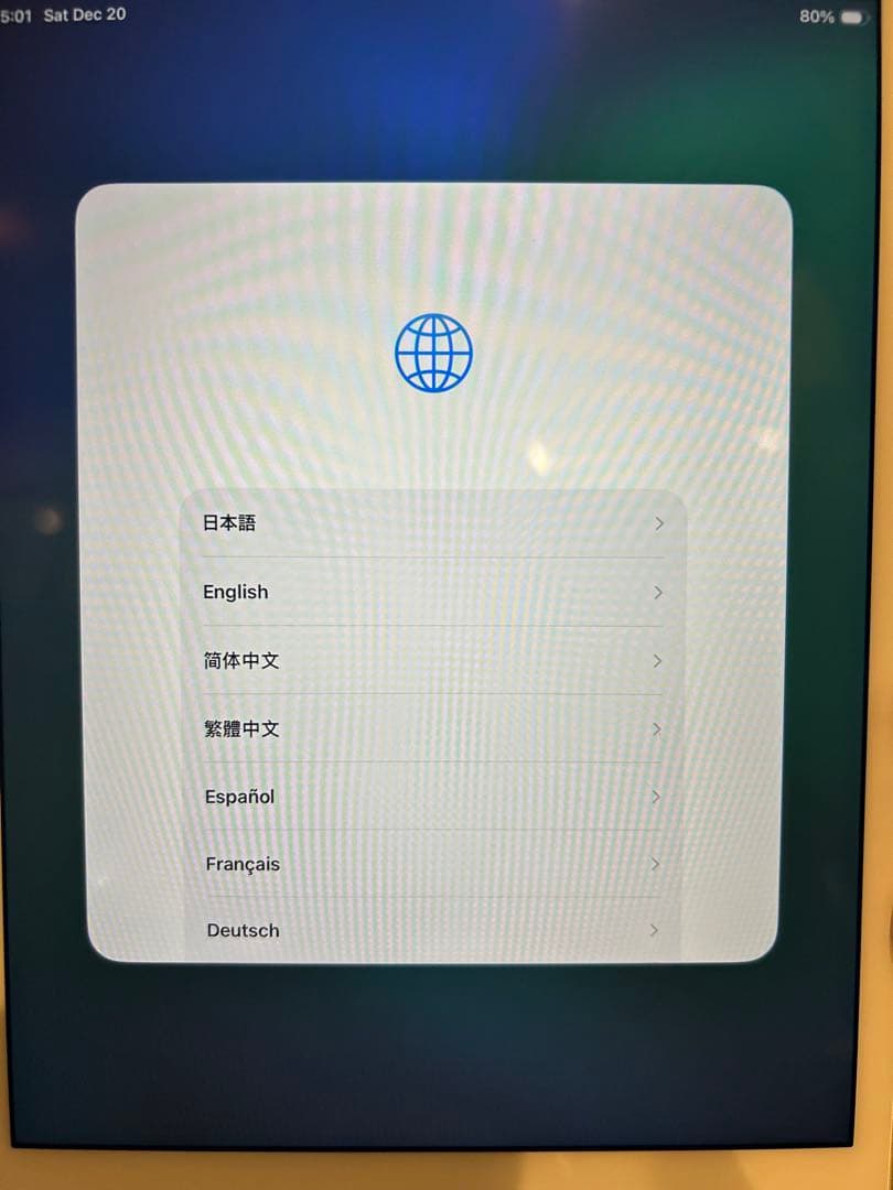 iPad mini 第5世代 [純正箱・付属品完備] ホワイトスポットあり