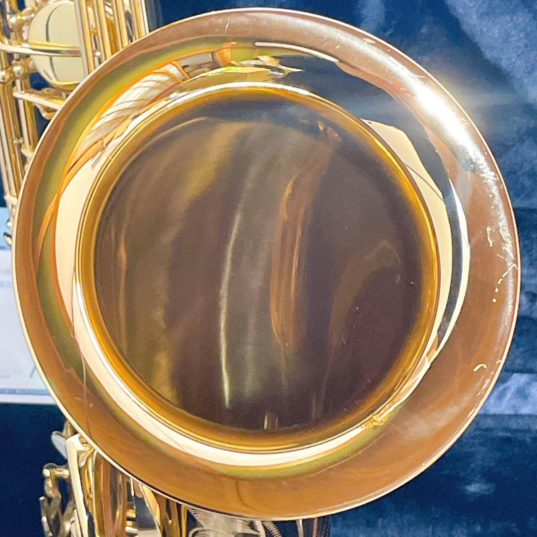 彦坂眞一郎氏 選定品　Antigua Winds テナーサックスgl