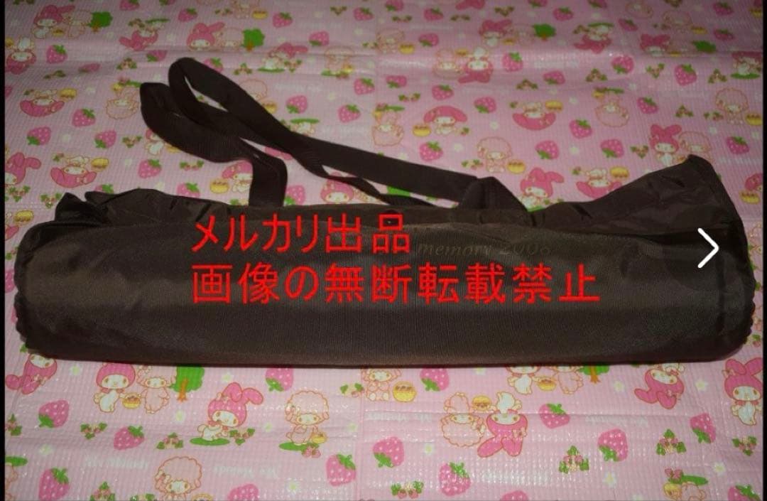 ▲激レア▲ZARD▲坂井泉水▲ポスター30枚フルセットバッグ付き▲