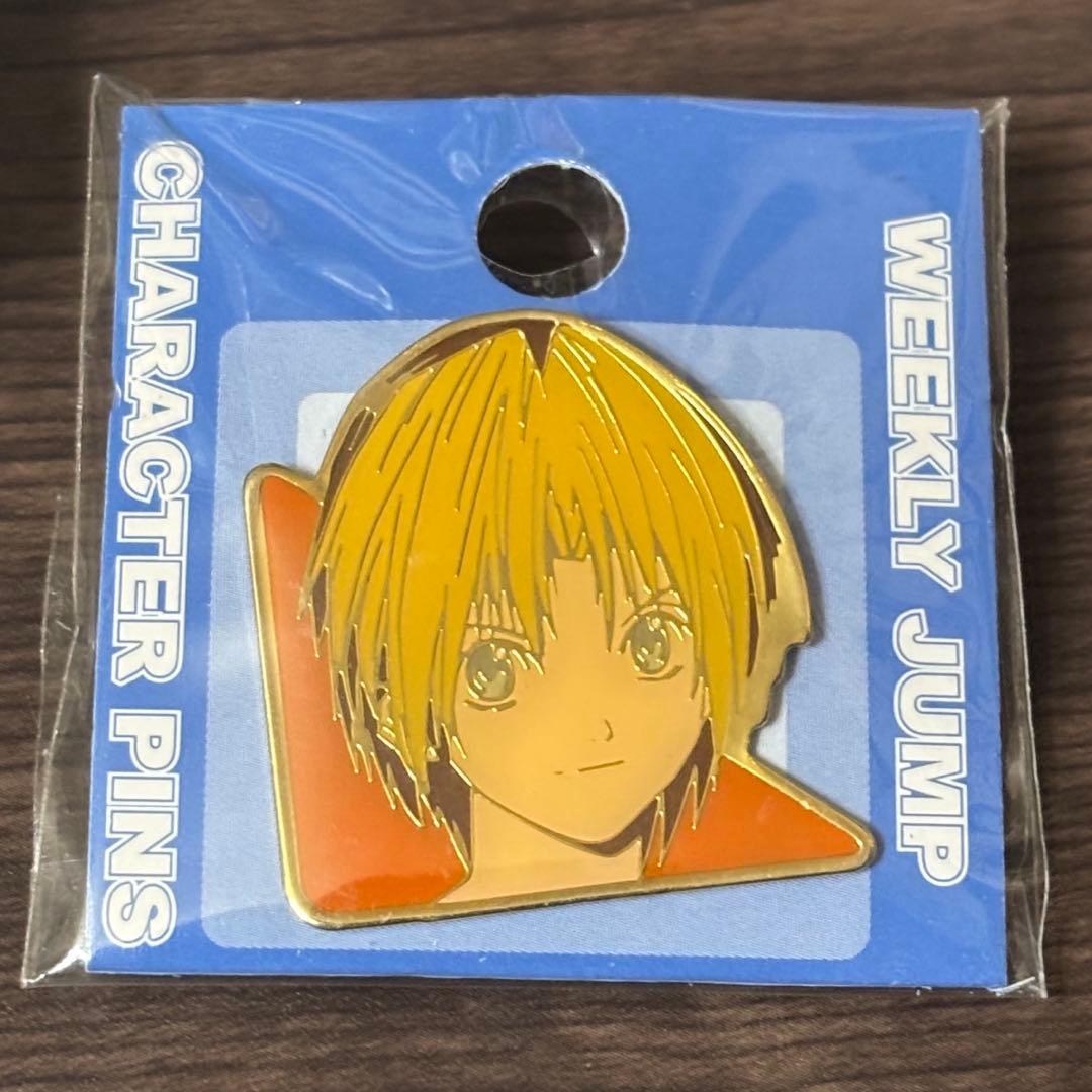 希少 ヒカルの碁 ピンズ 進藤ヒカル