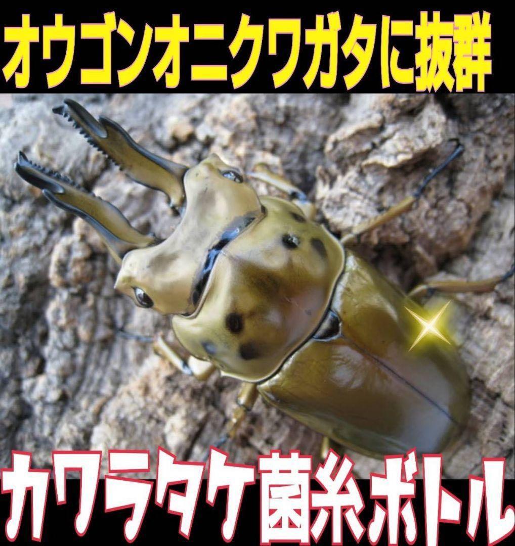 極上！カワラタケ菌糸瓶【8本】特殊アミノ酸強化配合！クワガタ幼虫全般に使えます！