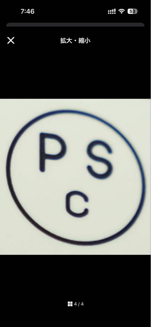 OCEAN BEETLE PTR Lサイズ　ブラック