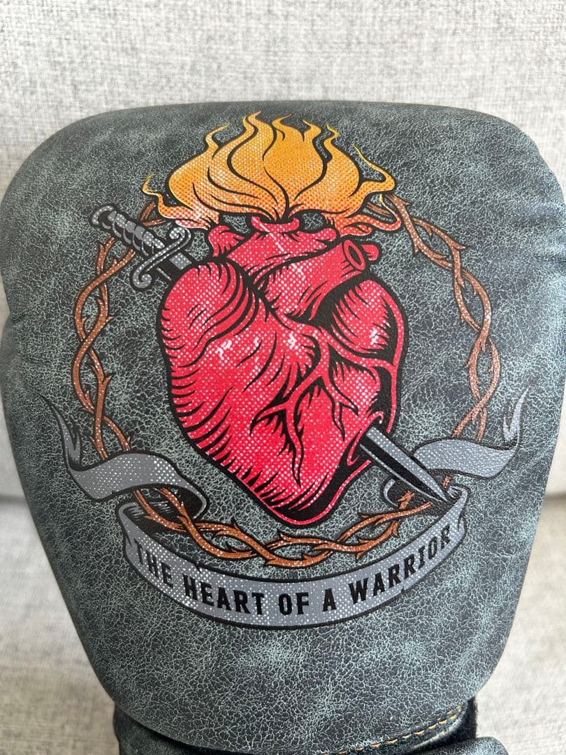 Fairtex フェアテックス グローブ 10 タイ現地正規店購入品