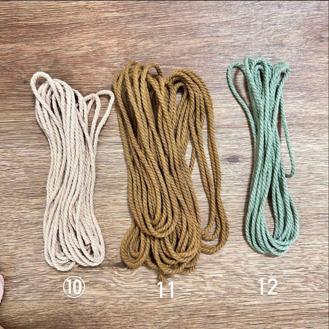 ダッフィーページです