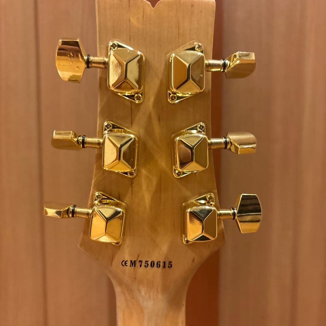 希少 Ibanez GIO GAX50 ゴールドパーツ仕様