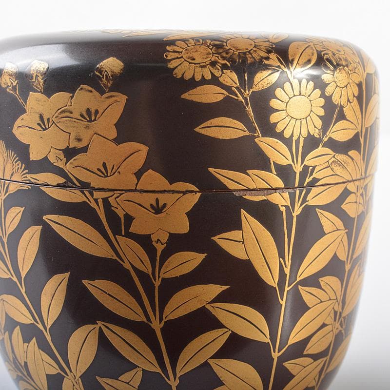 茶道具　漆塗　時代秋草蒔絵　棗　時代箱　M　R6284