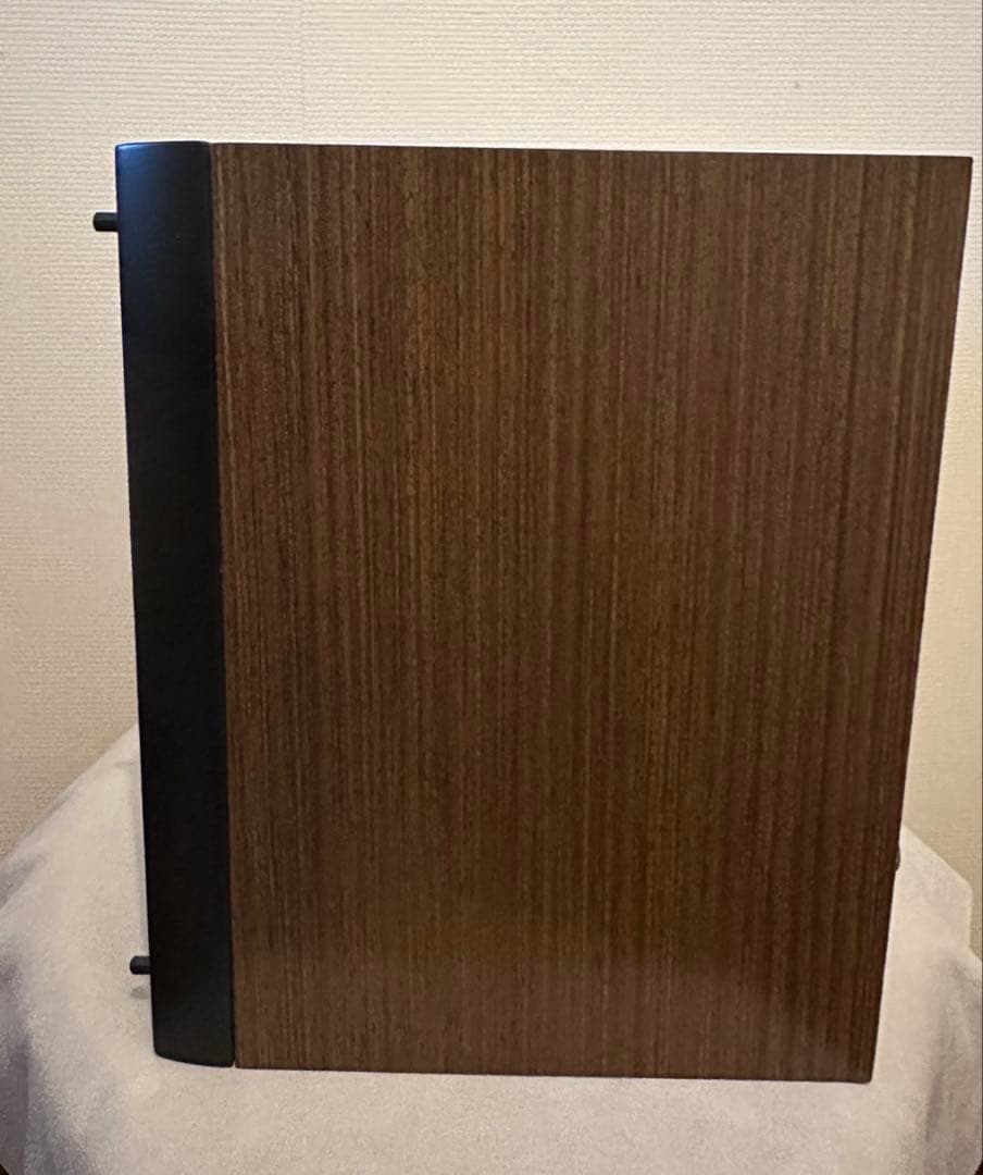 PioneerパイオニアスピーカーS-CN301-LR