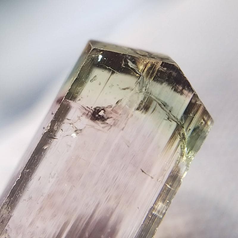 497 宝石質 トルマリン バイカラー アクロアイト タジキスタン産