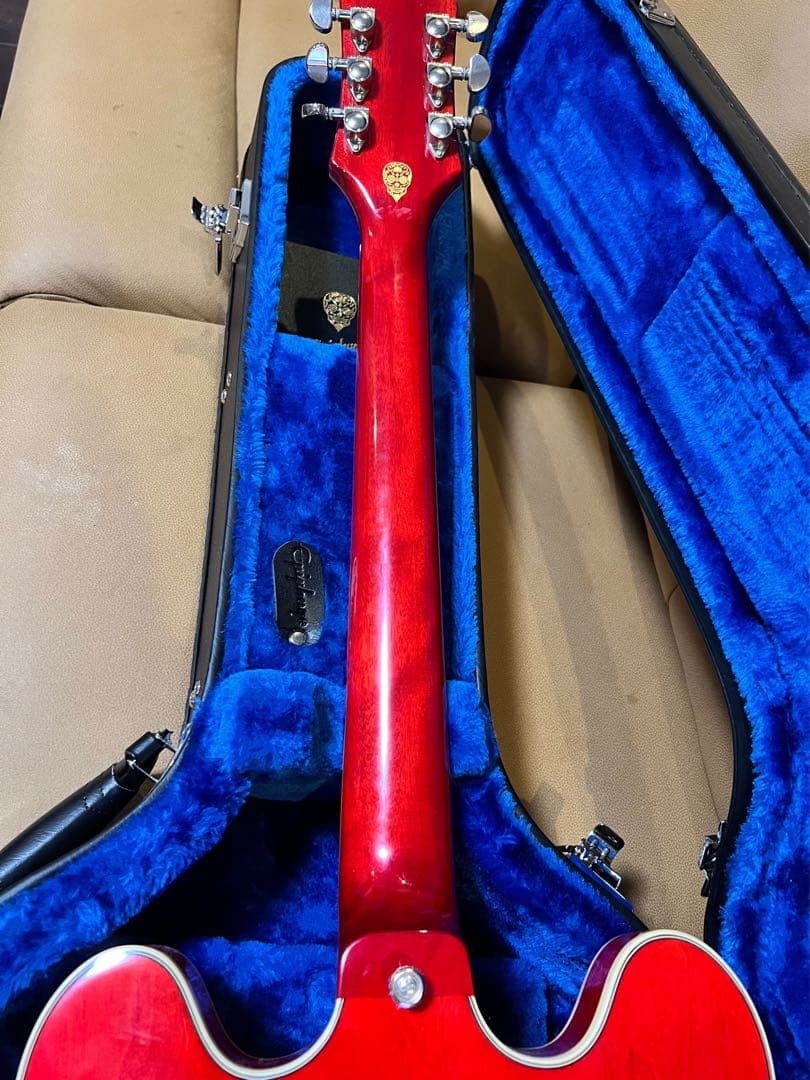 ヌードルカリー 　Epiphone Shinichi Ubukata