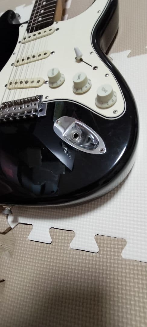 ギター Fujigen Neo Classic Series NCST-20R