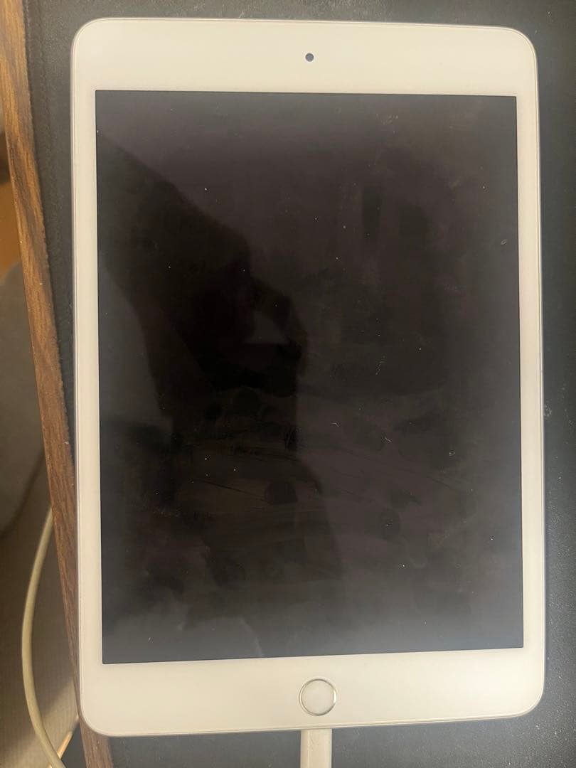 Apple iPad mini5 シルバー 本体(84%）