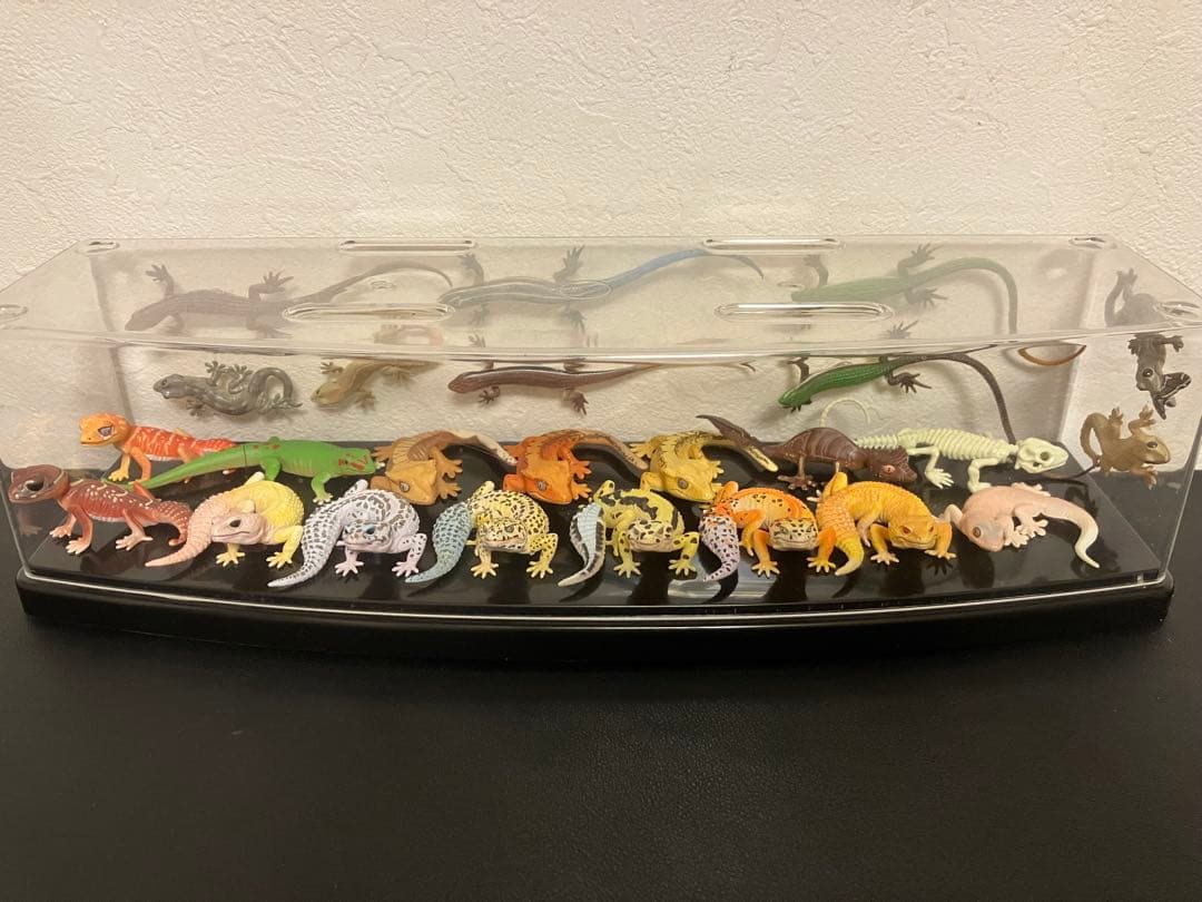 ヒョウモントカゲモドキ　ヤモリ　ガチャガチャ