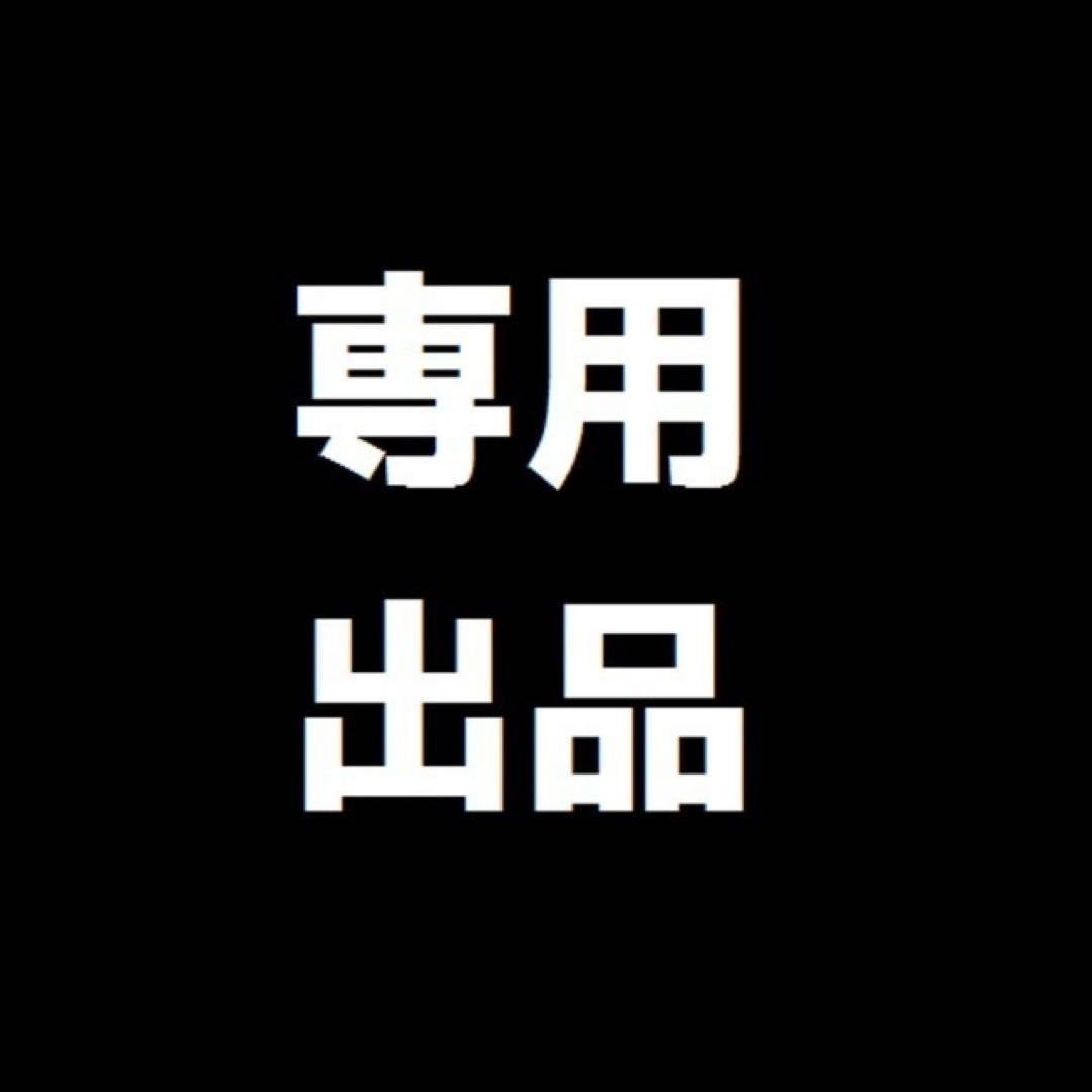 トップス 15Mac