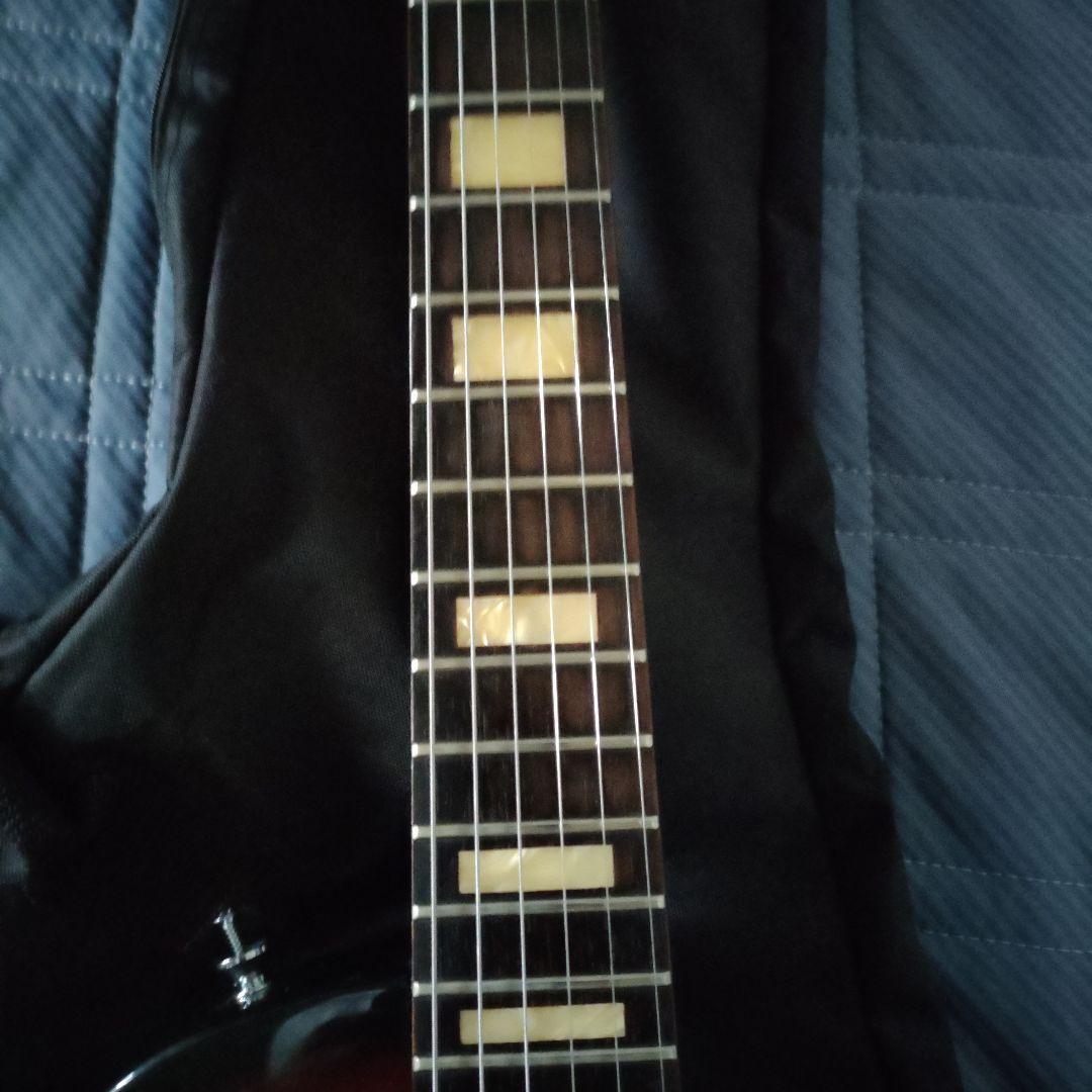 EDWARDS エドワーズ ルナシー イノランモデル　アーニーボール新品弦2つ付